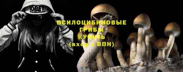 эйфоретик Куйбышев