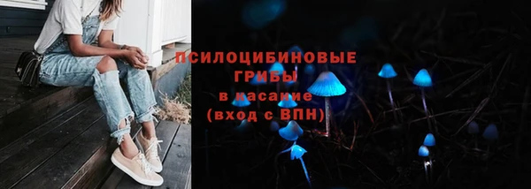 эйфоретик Куйбышев